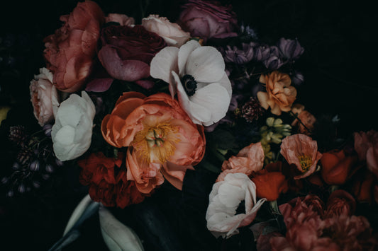 Aureum